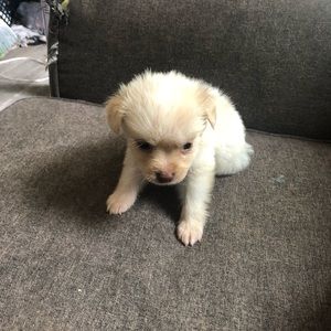 Meet your Posher, Nikki